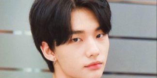 Can I Stop Seeing Posts About Hyunjin? stray kids hyunjin controversy