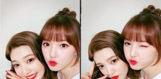 Don’t You Think Yerin and Joy are Like Ghibli / Disney Characters? Joy Yerin