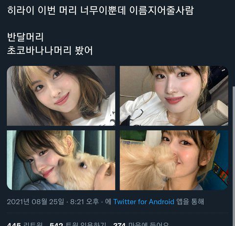 Why Momo is Getting Lots of Retweets Recently keke twice momo pretty beautiful