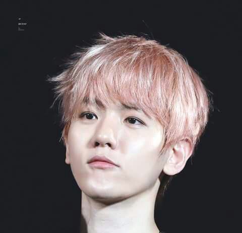 Wow EXO Baekhyun is Really a Legend EXO Baekhyun genius idol cute handsome