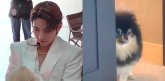 BTS V Is So Mean BTS Taehyung and His Dog Tannie