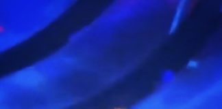 BTS V Trends On Internet For His Penguin Habits BTS V Like Penguin