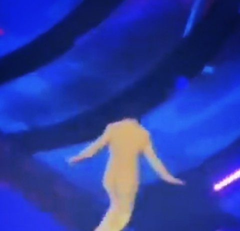 BTS V Trends On Internet For His Penguin Habits BTS V Like Penguin