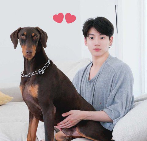 Netizens Notice That BTS Jungkook Is Like The Group’s Puppy BTS Jungkook and Bam