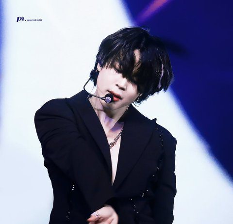Netizens In Awe Of Jimin’s Fansite Taken Images At The Concert BTS Jimin In Concert