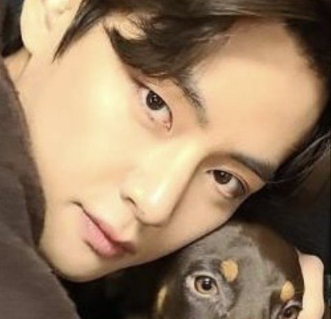 BTS V Is Daebak BTS Taehyung