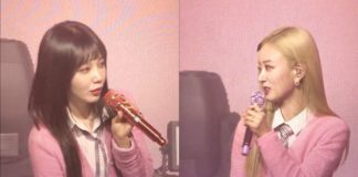 Apink Who Held A Fan Meeting With Legendary Visuals Apink fan meeting visuals comeback