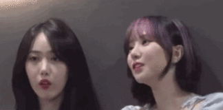 WJSN x VIVIZ Surprisingly Good Relationship