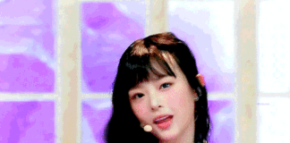 Everything About NewJeans is Great, But..