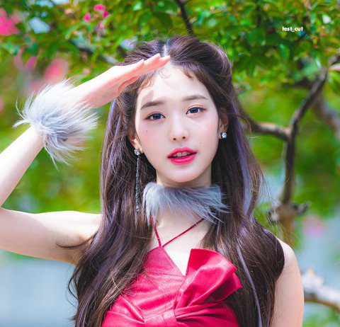 Park Misun Said IVE Jang Wonyoung is the Celebrity of Celebrities