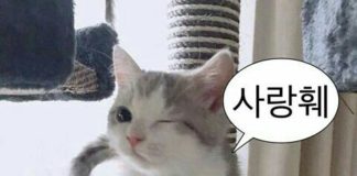 Characteristics of People You Wanna Become Friends With