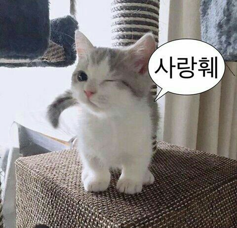 Characteristics of People You Wanna Become Friends With