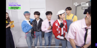 Stray Kids’ Heights Compared To IVE’s Wonyoung