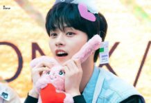 I Thought Lee Know Does Not Have a JYPE Male Idol Kind of Face.. Stray kids lee know handsome netizens