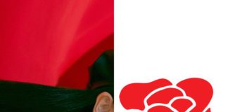 Netizens Are Impressed With Design For Jisoo’s Solo Debut